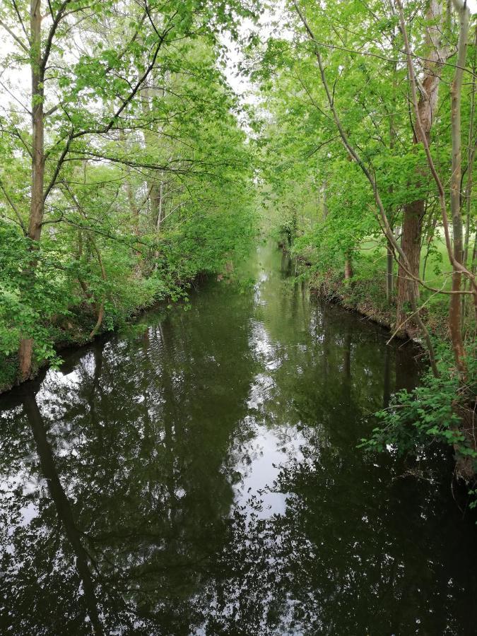 Am Waldrand Spreewald Hotell Burg  Exteriör bild