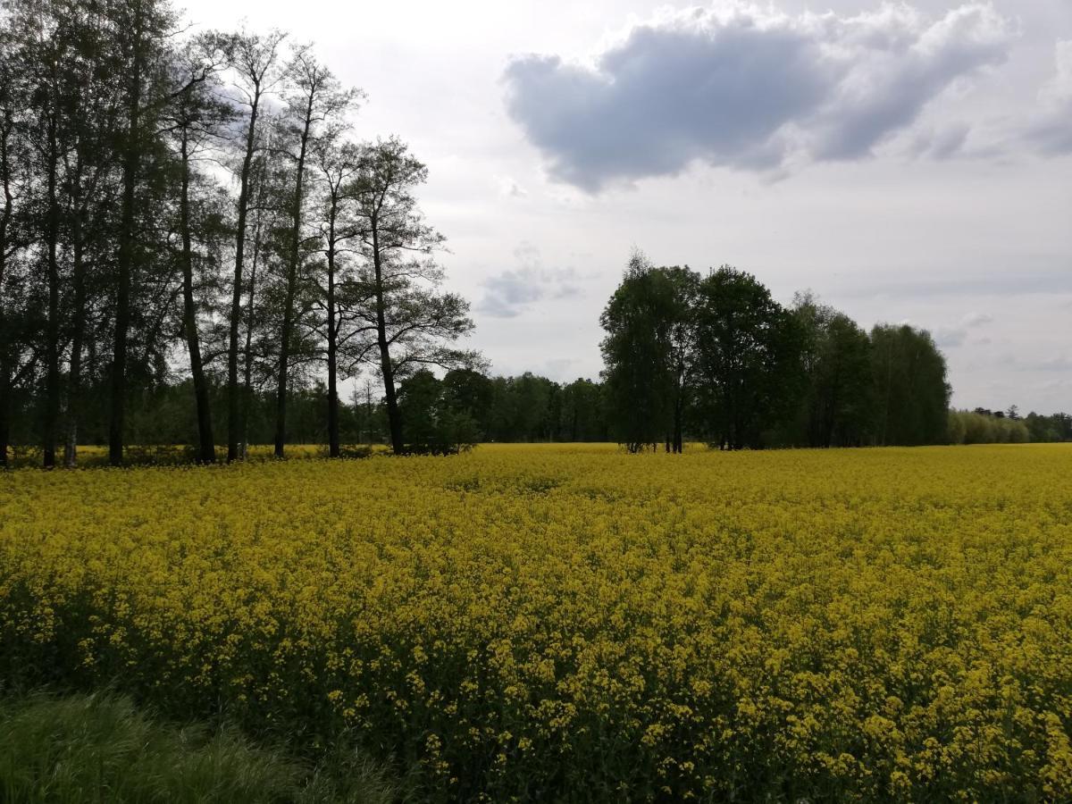 Am Waldrand Spreewald Hotell Burg  Exteriör bild
