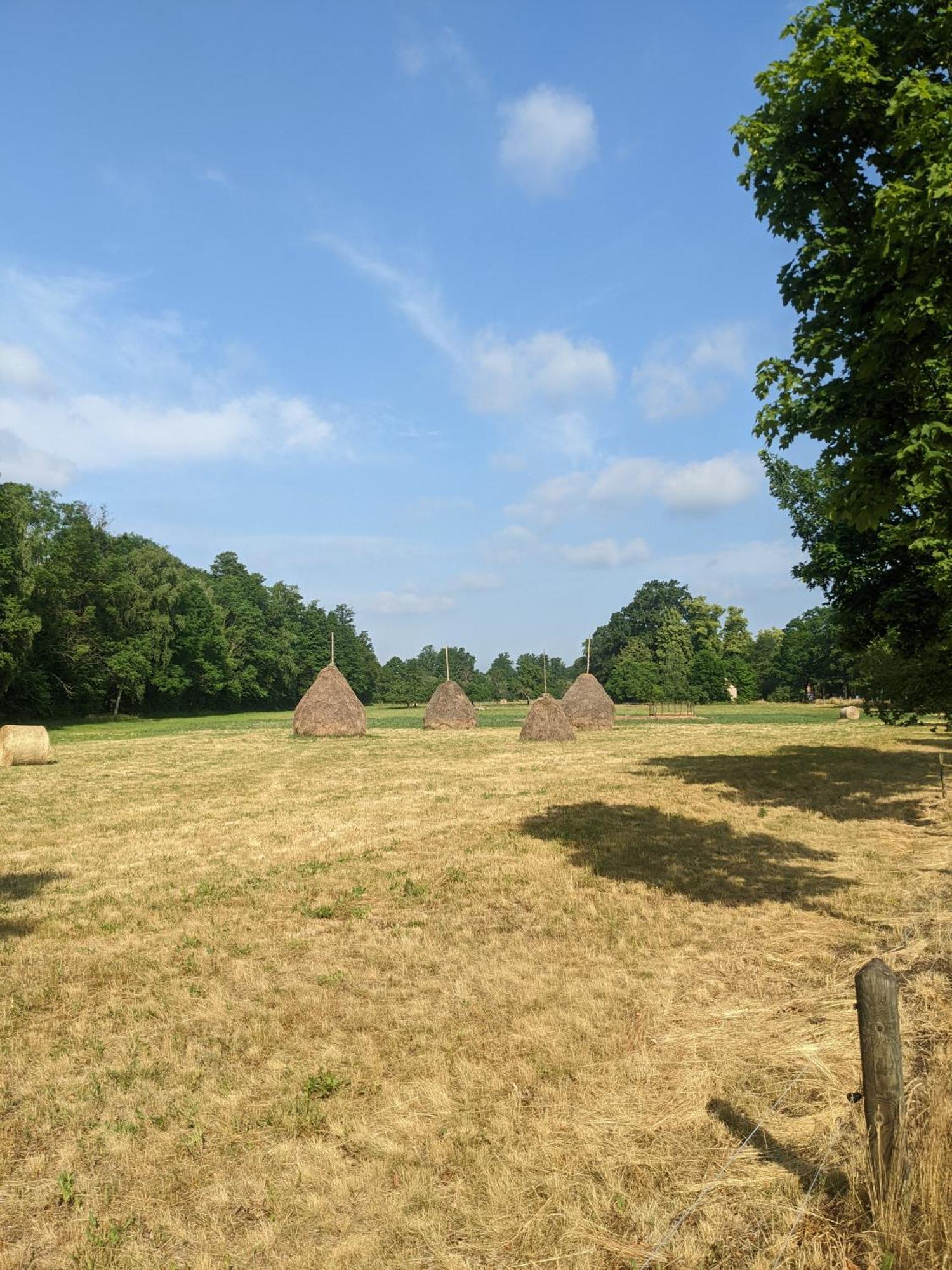 Am Waldrand Spreewald Hotell Burg  Exteriör bild